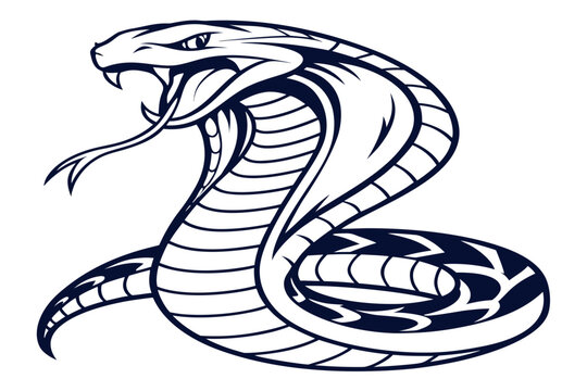 Crocodile and snake vector design