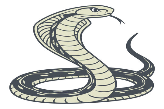 Crocodile and snake vector design