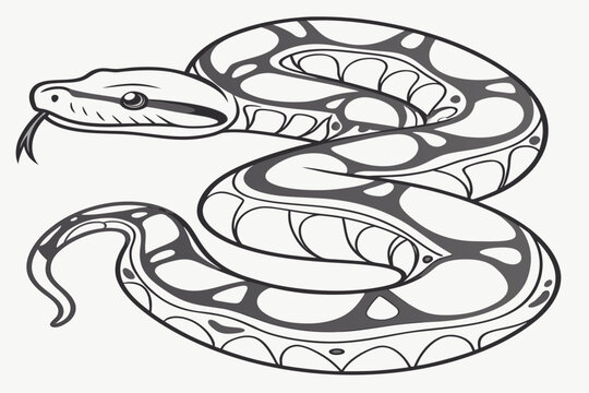 Crocodile and snake vector design