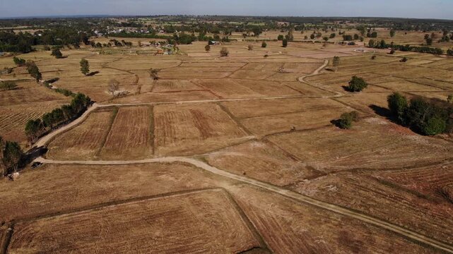 During the dry season, the off-season paddy fields take on a desolate and arid atmosphere. Northeastern of Thailand.