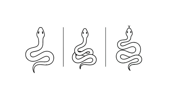 Minimalist Snake Set in Black and White
