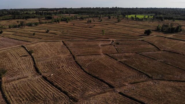 During the dry season, the off-season paddy fields take on a desolate and arid atmosphere. Northeastern of Thailand.