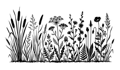 Black botanical meadow silhouette vector collection with wild grass flowers and reeds © MdRabbi
