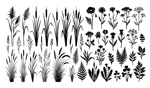 Minimal meadow grass and cattail silhouette vector with wild floral botanical elements