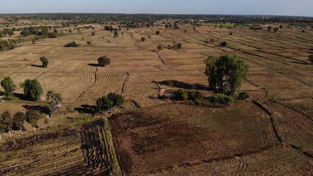 During the dry season, the off-season paddy fields take on a desolate and arid atmosphere. Northeastern of Thailand.