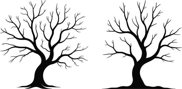 Black leafless tree silhouettes collection isolated on light background decorative nature illustration for design and seasonal themes