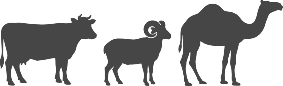 Minimalist flat vector silhouettes of a cow ram and camel representing diverse animal types for educational content infographics or comparative studies