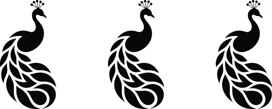 Elegant black peacock silhouette vector set with decorative feather tail isolated on light background for luxury design