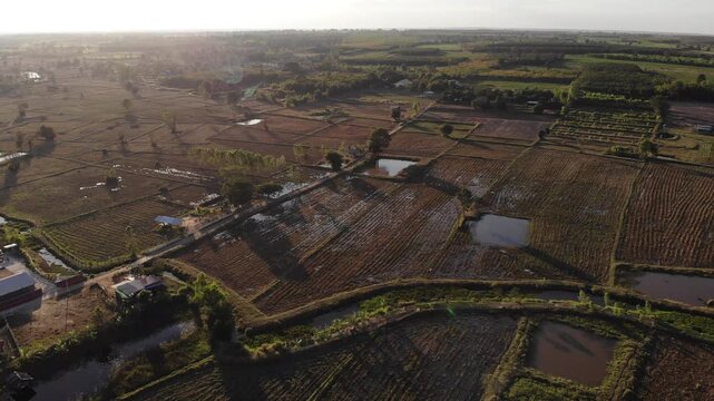 Drone shot is showing rice paddy areas in preparation for the next planting cycle in northeastern Thailand.
