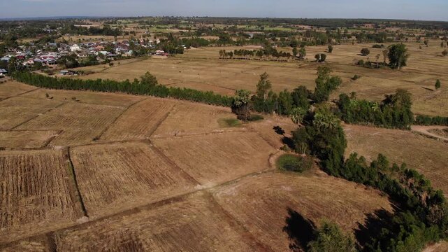 During the dry season, the off-season paddy fields take on a desolate and arid atmosphere. Northeastern of Thailand.