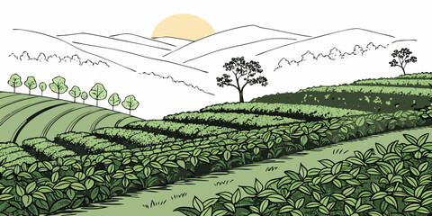 Stylized illustration of tea plantation landscape at sunrise with plantation landscape agriculture cultivation environment farmland illustration sunlight agricultural production countryside © Lisa