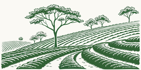 Graphic illustration of rolling farmland with trees and undulating hills landscape agriculture countryside cultivation plantation environment topography vegetation cultivated agronomy © Lisa