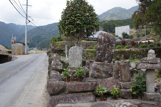 熊野古道中辺路の風景　大門坂（熊野那智大社参道）
