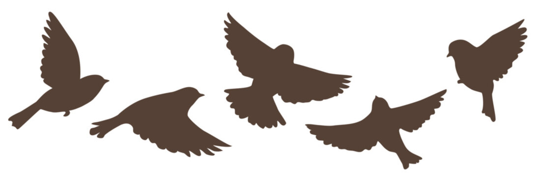 Bird silhouette collection. Set of vector decorative flying birds. Bird icon. Stock illustration