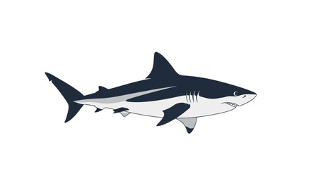Obraz premium Blacktip Reef Shark Side View.