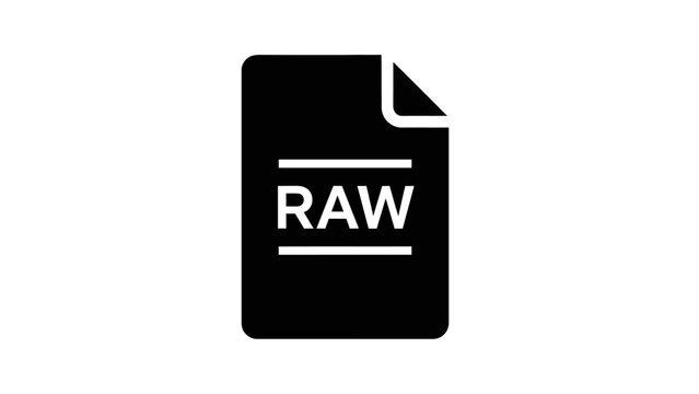 Raw File Document Icon Symbol.