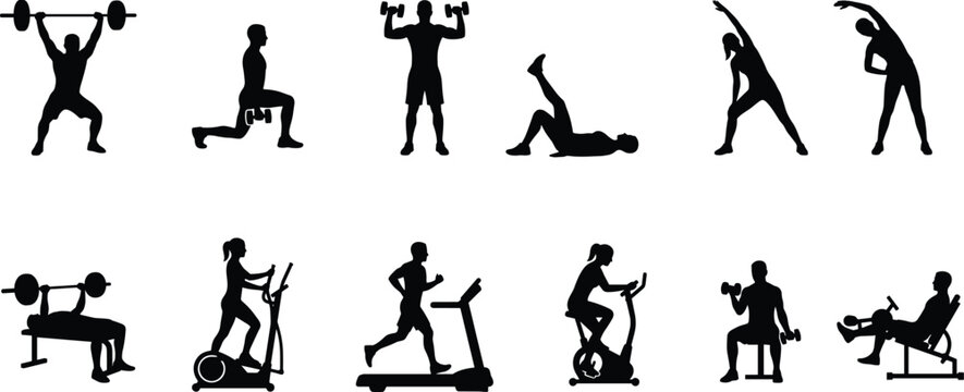 Fitness and Gym Exercise Silhouette Collection Featuring Weightlifting, Cardio Training, Stretching and Strength Workout Equipment Activities Illustration