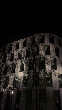 Ivy covered facade under dramatic lighting, climbing plants casting textured shadows across windows, quiet nighttime street, environmental designer