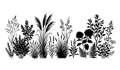 Black bush grass and shrub silhouette vector set with herbal botanical plants © MdRabbi