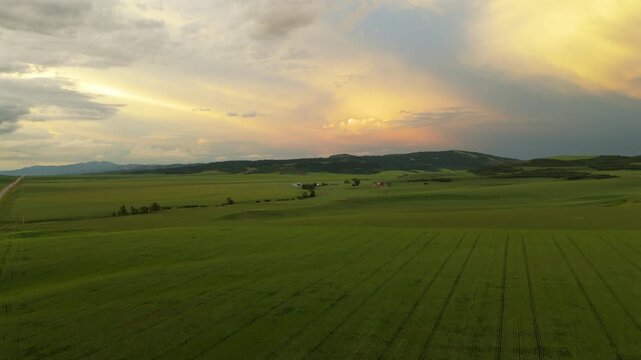 Aerial drone footage captures breathtaking golden hour sunset over vast green agricultural fields in Montana USA with dramatic clouds, rolling hills, distant mountains.