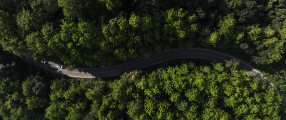 Nature landscape featuring a winding road in lush tropical forest. Perfect for themes of sustainable development, eco travel, green energy transition and responsible investment. © Hand Robot