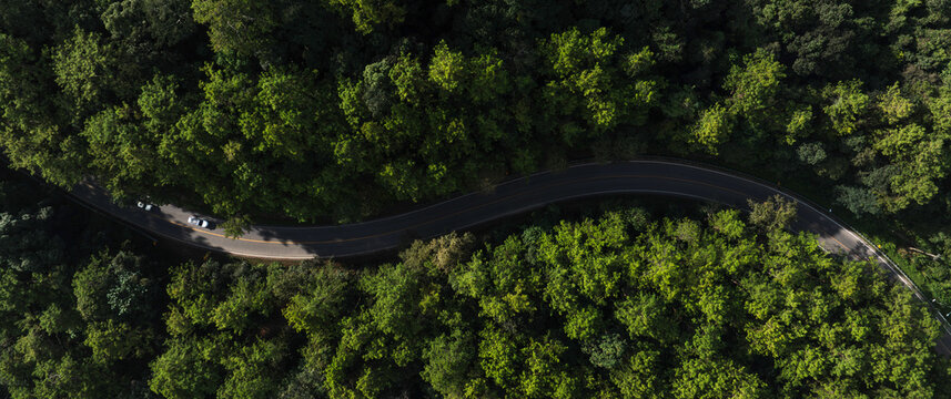 Nature landscape featuring a winding road in lush tropical forest. Perfect for themes of sustainable development, eco travel, green energy transition and responsible investment.