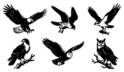 Obraz premium Flying Eagle and Owl Bird Silhouette Collection Black and White Vector