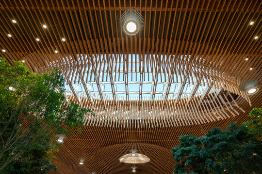 Portland, OR, USA - Aug 31, 2025: Low angle view of skylights on the massive timber roof in the Portland International Airport (PDX) terminal building.