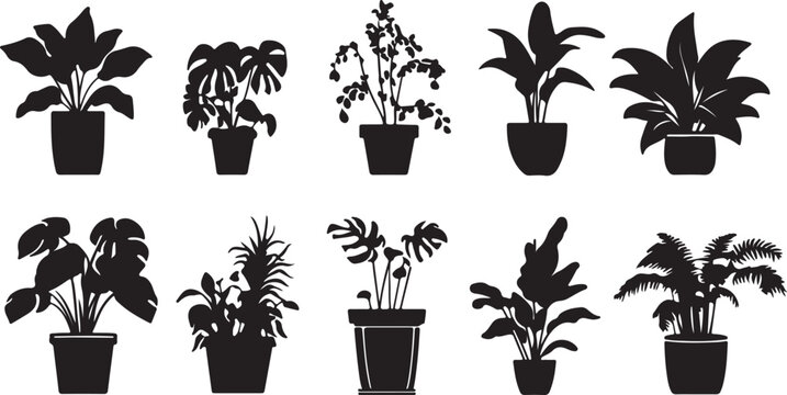 Set of potted houseplants vector illustration garden greenery with plants and flowers in pots nature growth decoration greenery design
