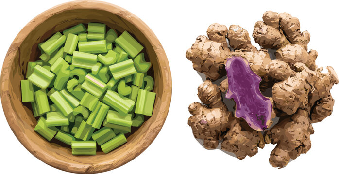 Chopped Fresh Celery Stalks in Wooden Bowl and Black Galingale Root Rhizome Heap Isolated Vector Element Collection for Healthy Culinary Food Design