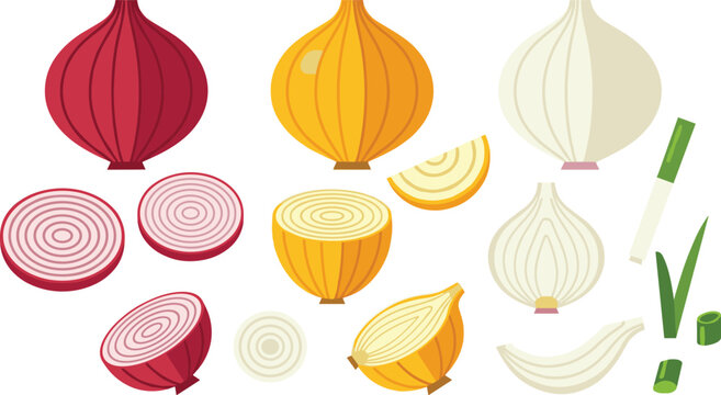 Fresh Allium Vegetable Vector Graphic Set Featuring Red Yellow and White Onion Slices Rings and Garlic Cloves for Culinary Recipe Blog Illustrations