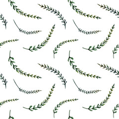 Yarrow leaves seamless pattern watercolor illustration. Achillea foliage for dental care pharmacy branding, antiinflammatory spray packaging, medical bleeding gums rinse design, herbal tea print © AnKa