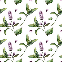 Mint seamless pattern watercolor illustration. Mentha medicinal herb blossom for refreshing dental care pharmacy branding, cooling remedy packaging, tonic tea design, organic herbal wellness print © AnKa