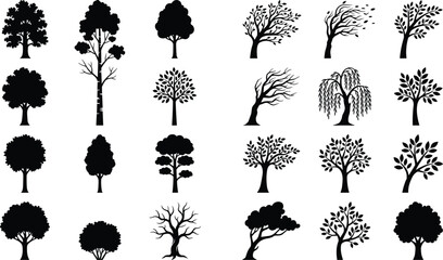 Black and white of various tree types and foliage styles trees leaves branches © MDMOHIN