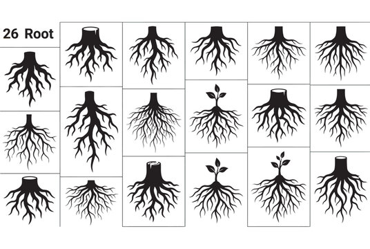 26 Tree Root System Vector Silhouettes Botanical Illustration Collection EPS
