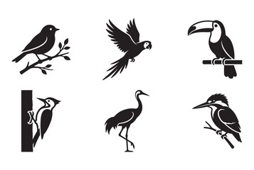 Fototapeta premium Minimalist Bird Icons Set, Tropical and Forest Birds Vector Art