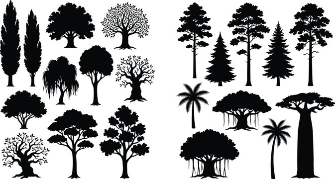 Black and white of various trees and palm silhouettes tree silhouettes coniferous trees