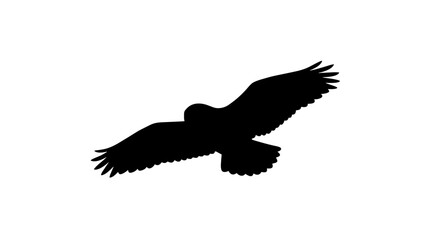Obraz premium Silhouette of a Snowy Owl in Flight.