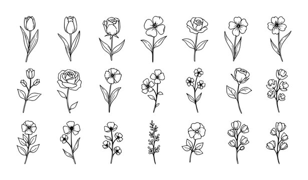 Elegant Single Flower Sketch Illustration Set with Rose, Tulip and Botanical Floral Line Art Elements