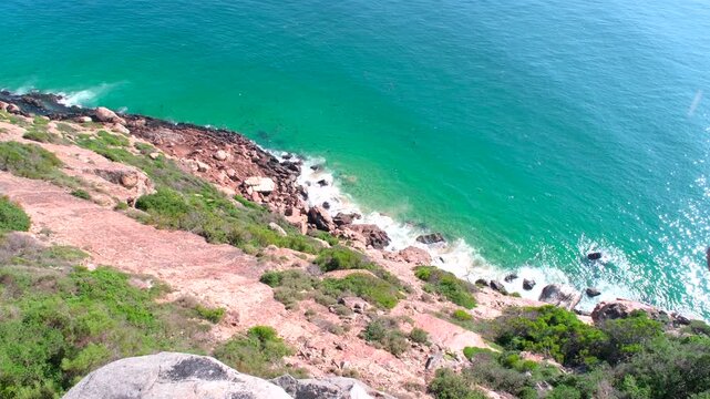 Seal colony frolic in Robberg marine protected area waters and sunbathe on shore