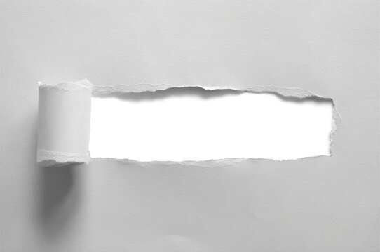 Paper roll reveal with paper strip with tear edges cutout