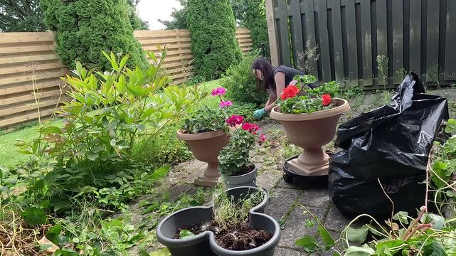 Person taking care of plants and flowers in private garden yard.
