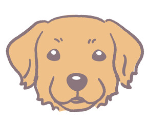Obraz premium ゴールデンレトリバー。犬の顔のイラスト素材。ベクター