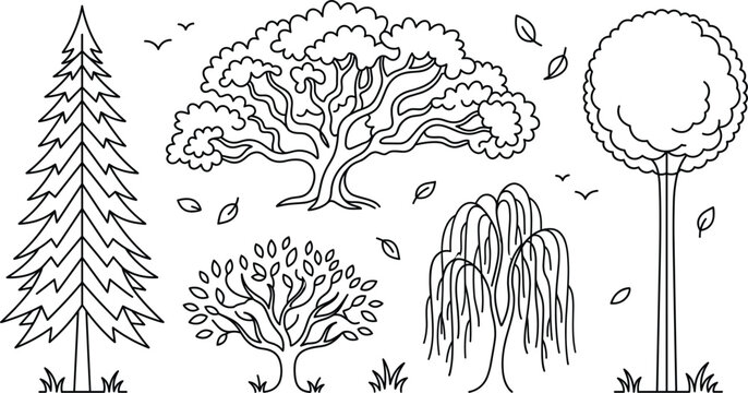Forest trees and garden plants outline icon set with oak pine willow bush and falling leaves vector illustration