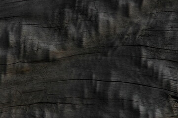 dark wood texture © orsinico