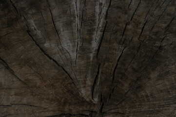 old wood texture © orsinico