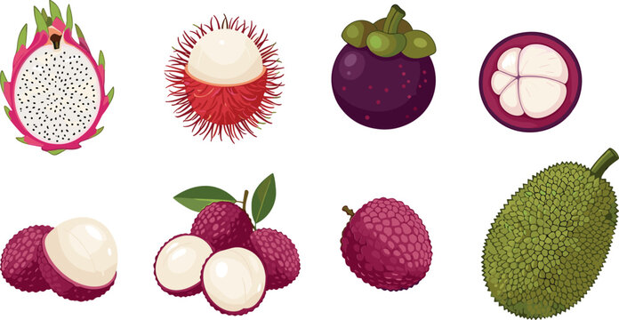 Flat tropical fruit icon set featuring dragonfruit rambutan mangosteen lychee and jackfruit for exotic food illustration and healthy design