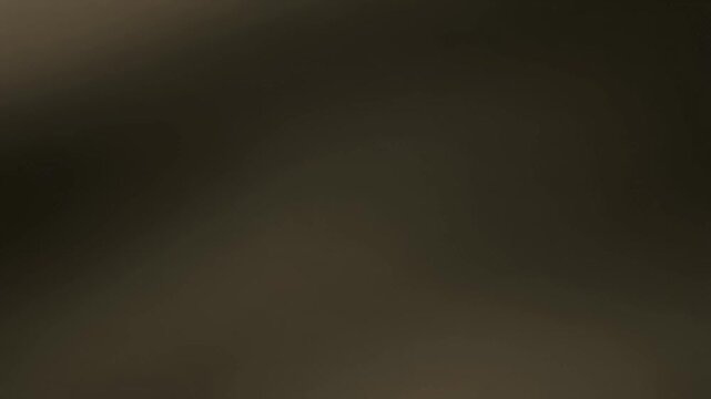 Soft Patch of Darkness That Moves as if a Deeper Shadow Passes &ndash; Cinematic Minimal 16:9 Abstract Visual Design