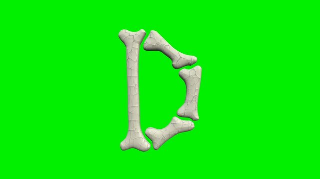  3d cracked bone alphabet letters D sign animation on green screen background