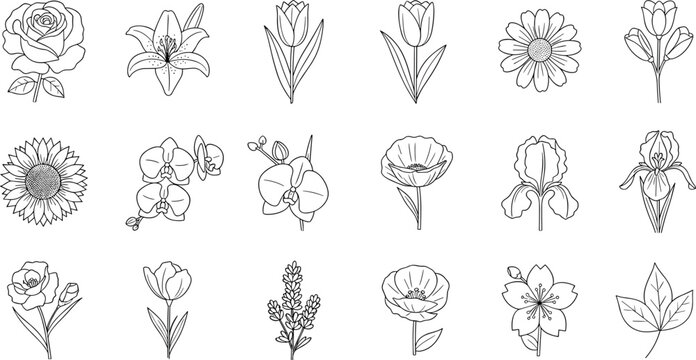 Flower outline icon set with rose lily tulip daisy botanical line art collection in clean minimal style for design use